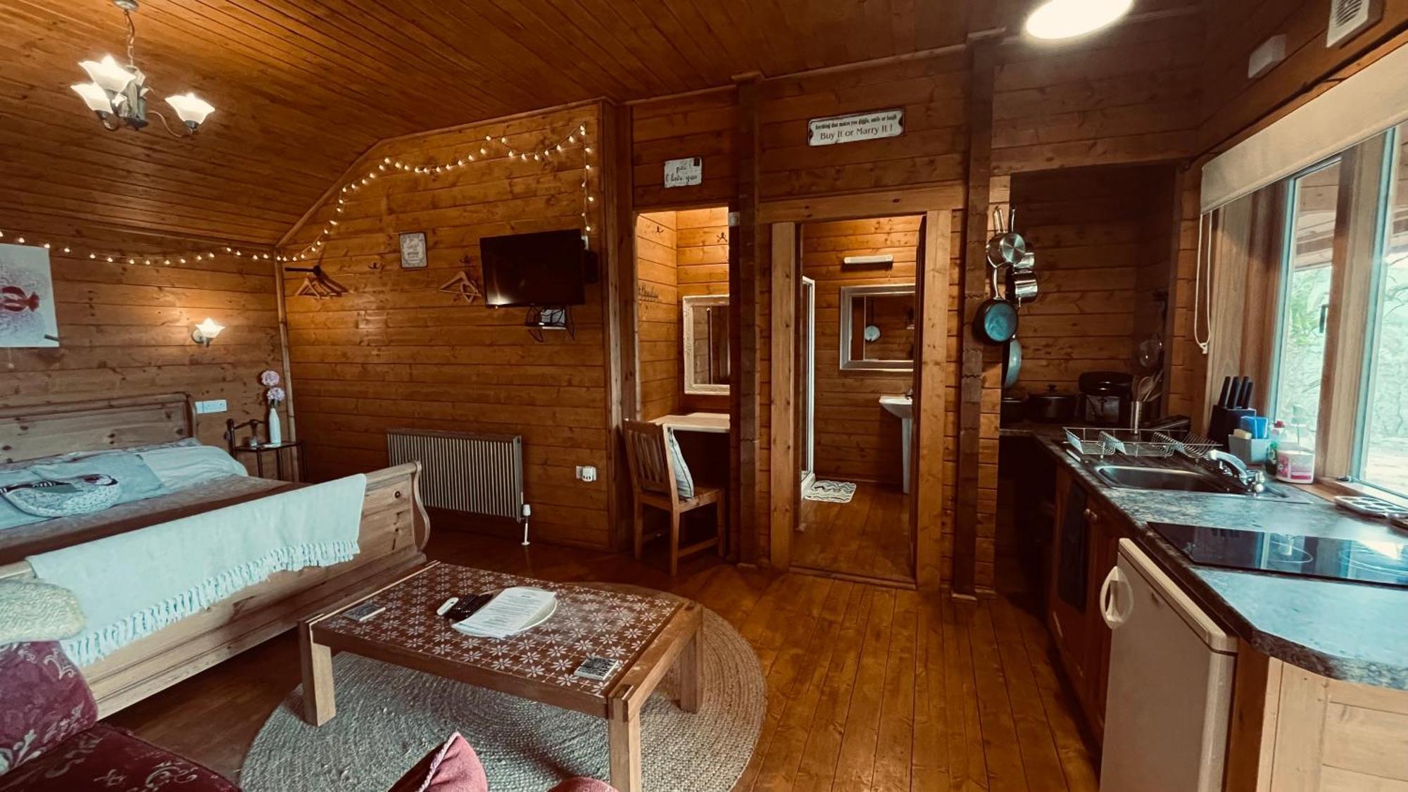 Blossom Cabin - Little Log Cabin In Wales Нютаун Екстериор снимка